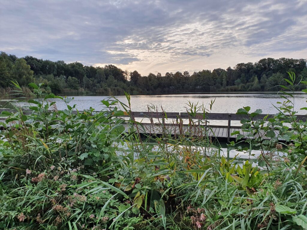 Thuisreis locatie Visvijver Kasteelse Bossen Horst