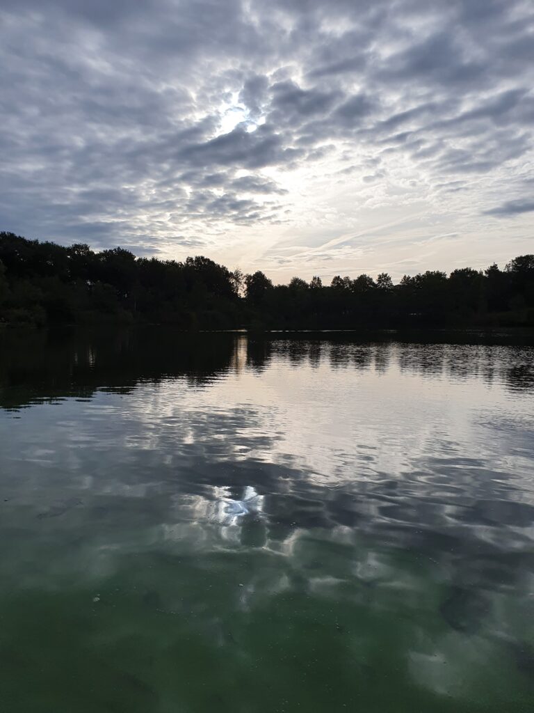 QiGong Flow - Kasteelse Bossen - Horst