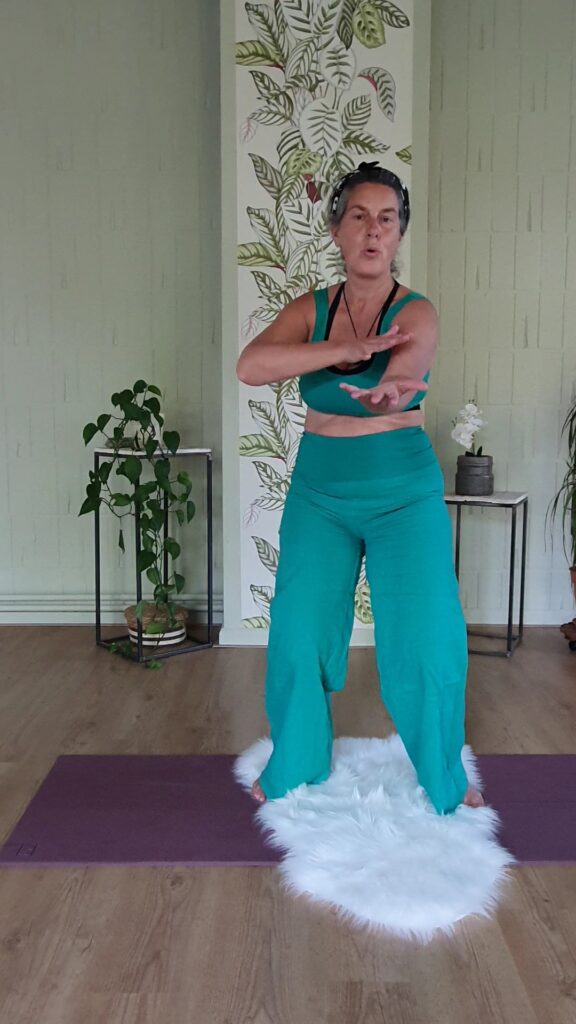 Meridianen Zuiveren en Traceren