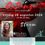 Thuisreis QiDanza - Steam