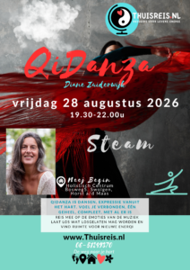 Thuisreis QiDanza - Steam