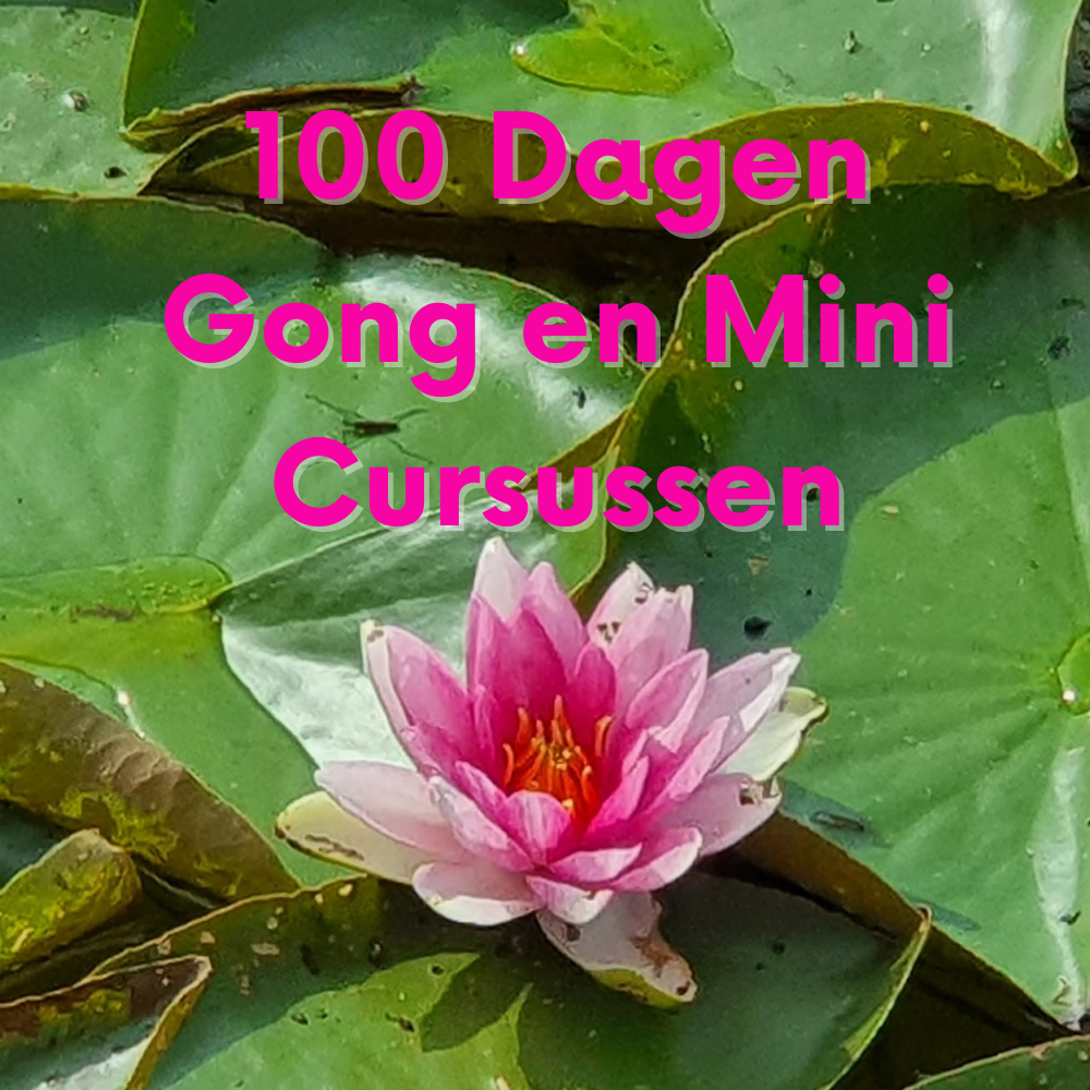100 Dagen Gong & Mini Cursussen