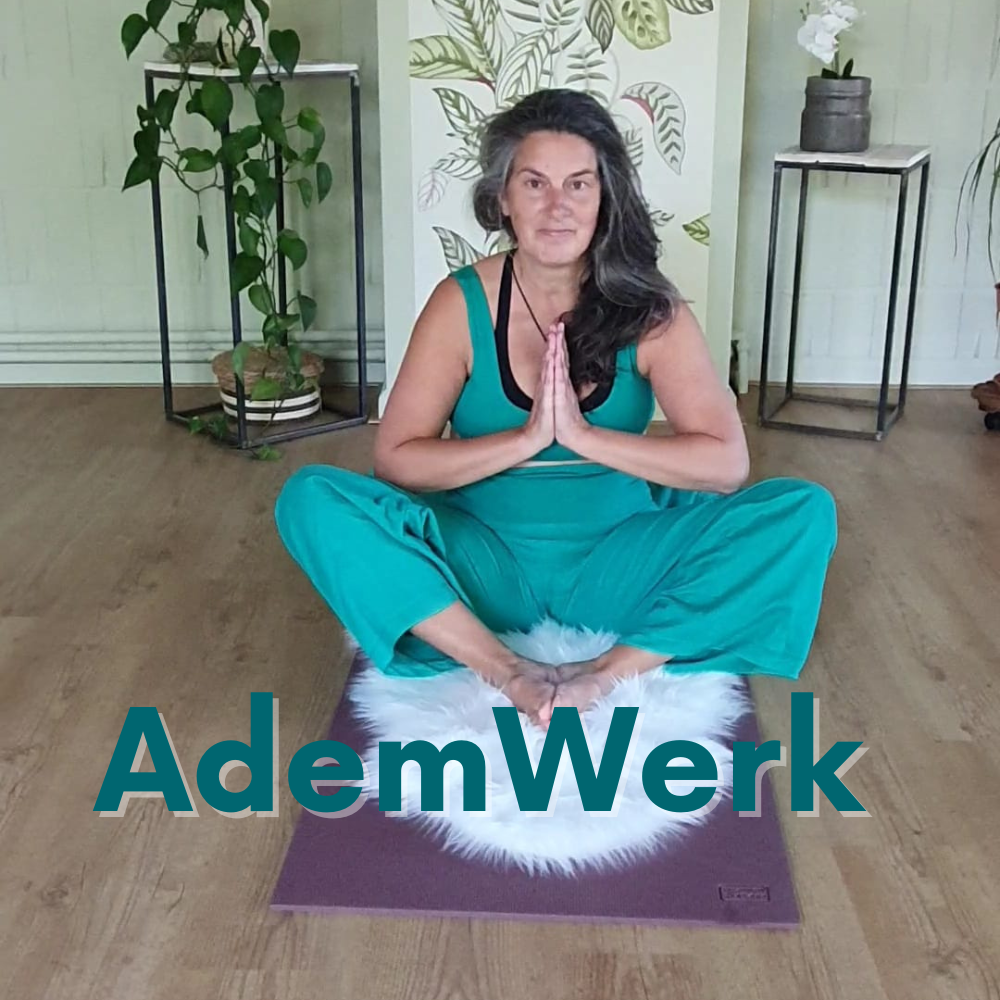 AdemWerk oefeningen voor ademhaling en bewustwording