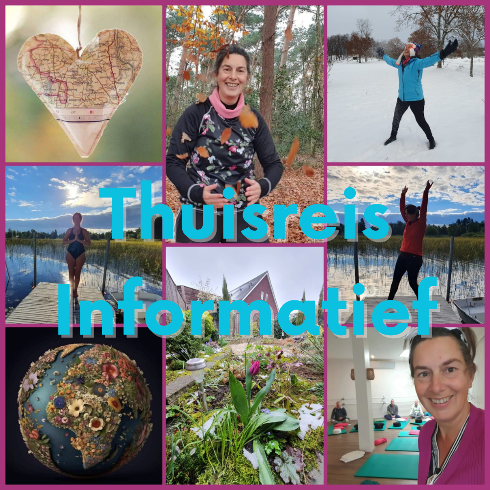 Informatie en uitleg over Thuisreis, Qigong, TCM en holistische preventieve gezondheid volgens TCM