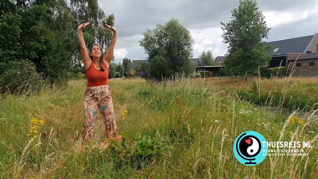 Qigong Flow basisles element Aarde (28 min.) Start september 2026