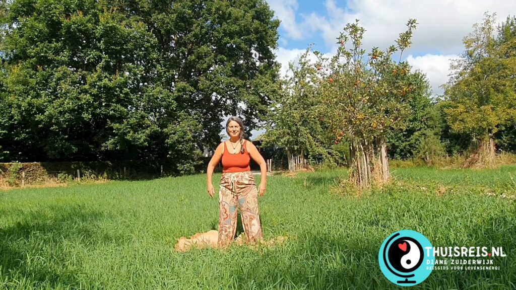 Introductie video Thuisreis Online Qigong Flow Aarde september 2026 Nieuw Wordt Thuisreiziger