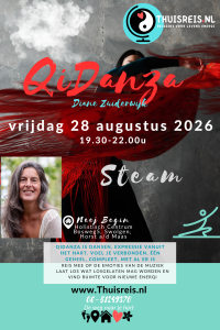 Thuisreis QiDanza - Steam